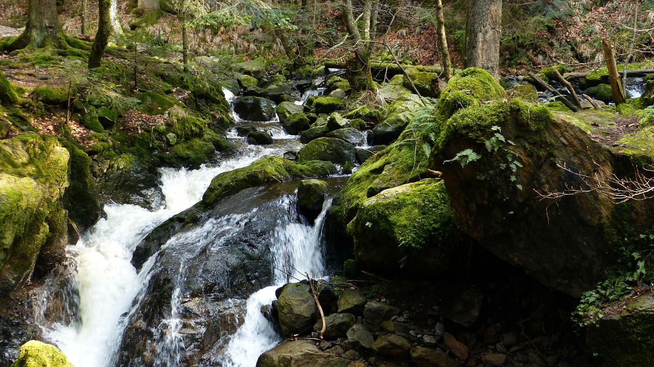 Margarethenschlucht